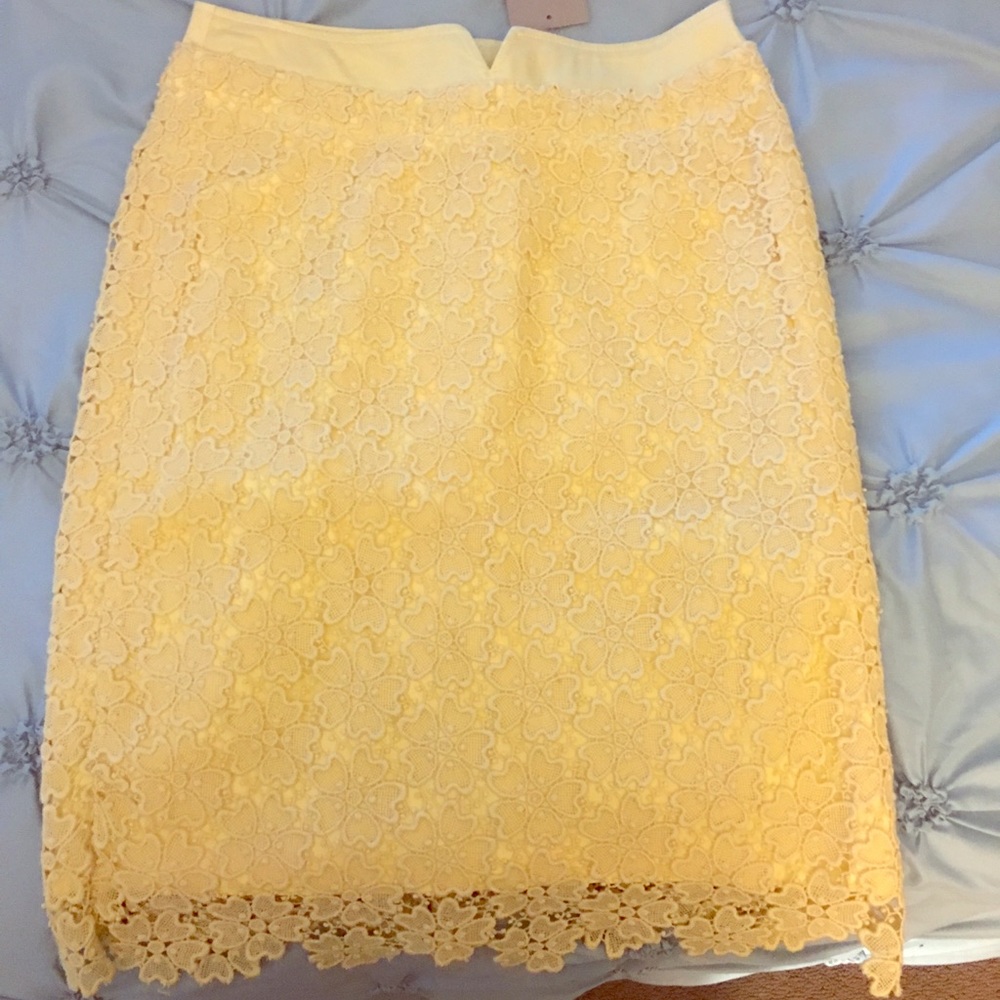 Anthropologie pencil skirt